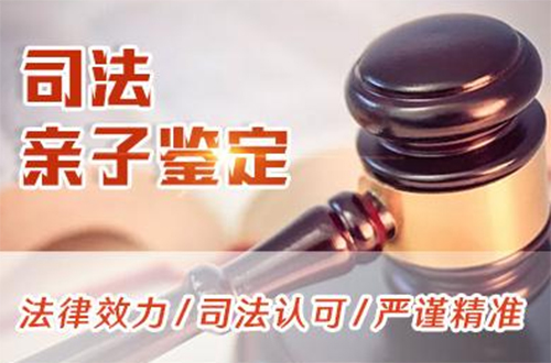 大理司法亲子鉴定如何办理,大理司法DNA鉴定费用一般要多少钱